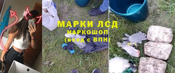 ECSTASY Богданович