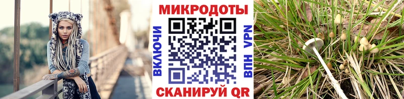 Галлюциногенные грибы мицелий наркота Вязники