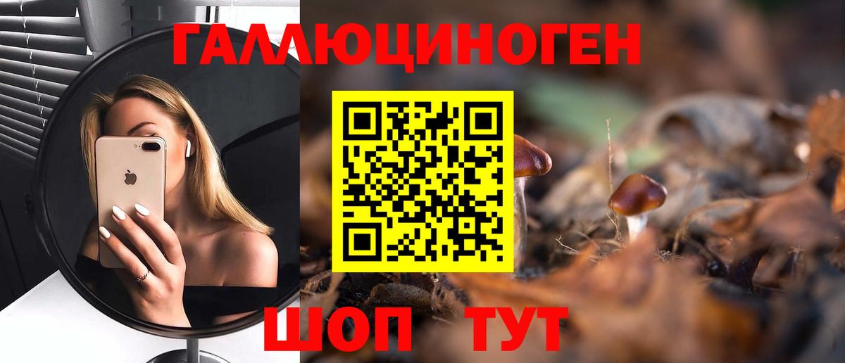 Галлюциногенные грибы Psilocybine cubensis  Вход с VPN  Вязники  Псилоцибиновые грибы мицелий 