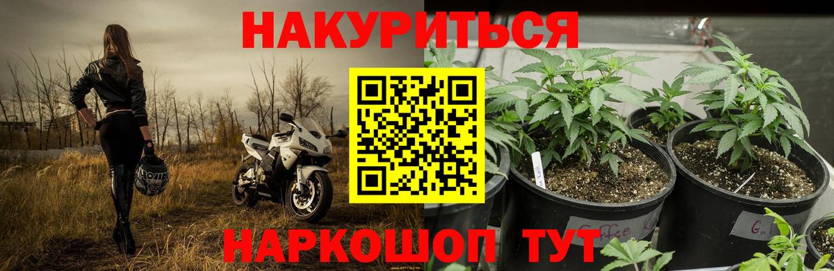 Вязники  Шишки марихуана конопля  Конопля конопля  Конопля White Widow  Вход с VPN 